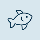 MailReef